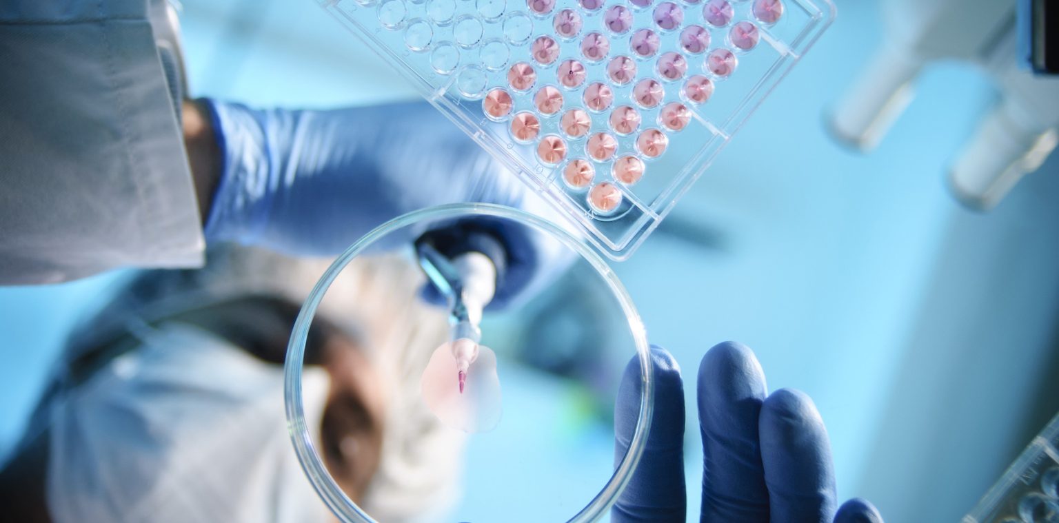 Ten-year health and medical research draft strategy released | Health ...