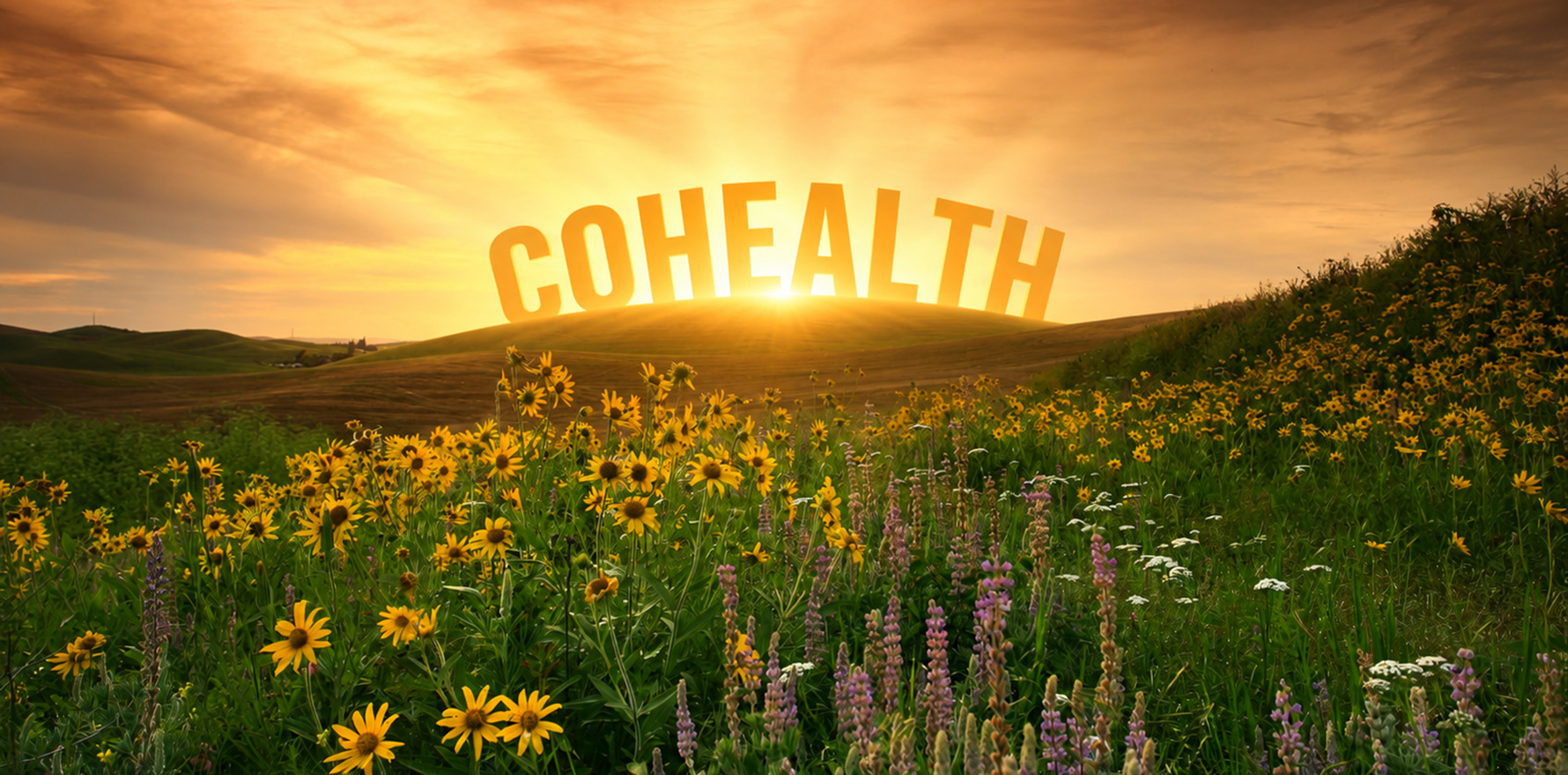 Cohealth renews board after Duckett review as interim CEO appointed